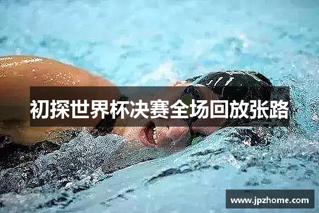 初探世界杯决赛全场回放张路